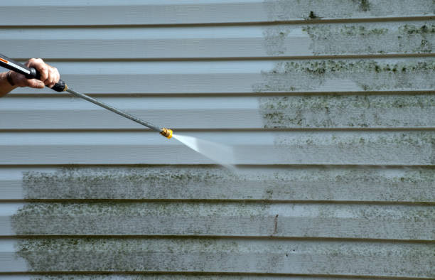 Best Mold Damage Repair  in Woodcliff Lake, NJ