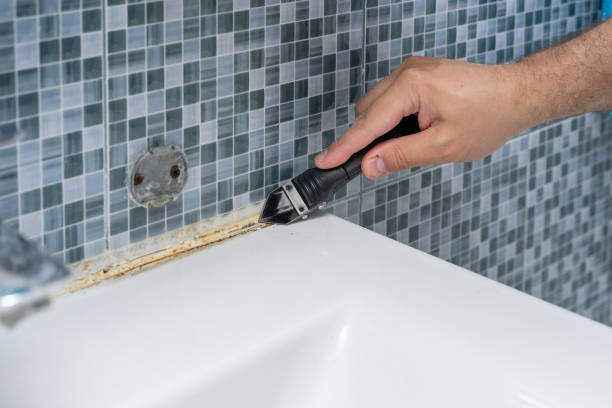 Best Fast Mold Removal  in Woodcliff Lake, NJ