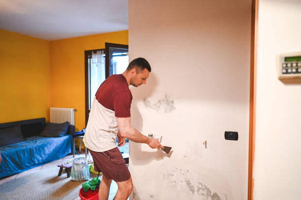 Best Mold Remediation Services  in Woodcliff Lake, NJ