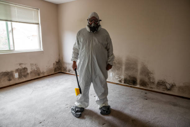 Certified Mold Removal in Woodcliff Lake, NJ
